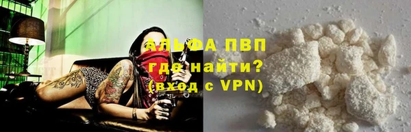 ГАЛЛЮЦИНОГЕННЫЕ ГРИБЫ Богданович