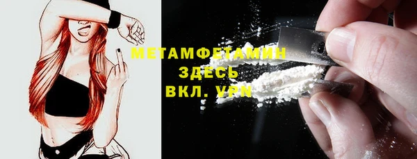 ГАЛЛЮЦИНОГЕННЫЕ ГРИБЫ Богданович