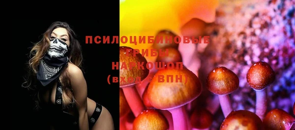 ГАЛЛЮЦИНОГЕННЫЕ ГРИБЫ Богданович