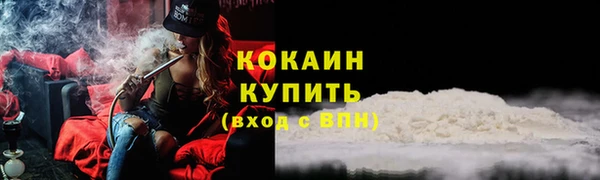 ГАЛЛЮЦИНОГЕННЫЕ ГРИБЫ Богданович