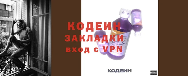 ГАЛЛЮЦИНОГЕННЫЕ ГРИБЫ Богданович