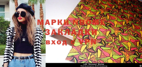 ГАЛЛЮЦИНОГЕННЫЕ ГРИБЫ Богданович
