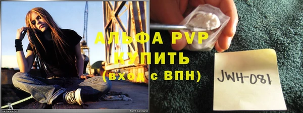 крисы Белоозёрский